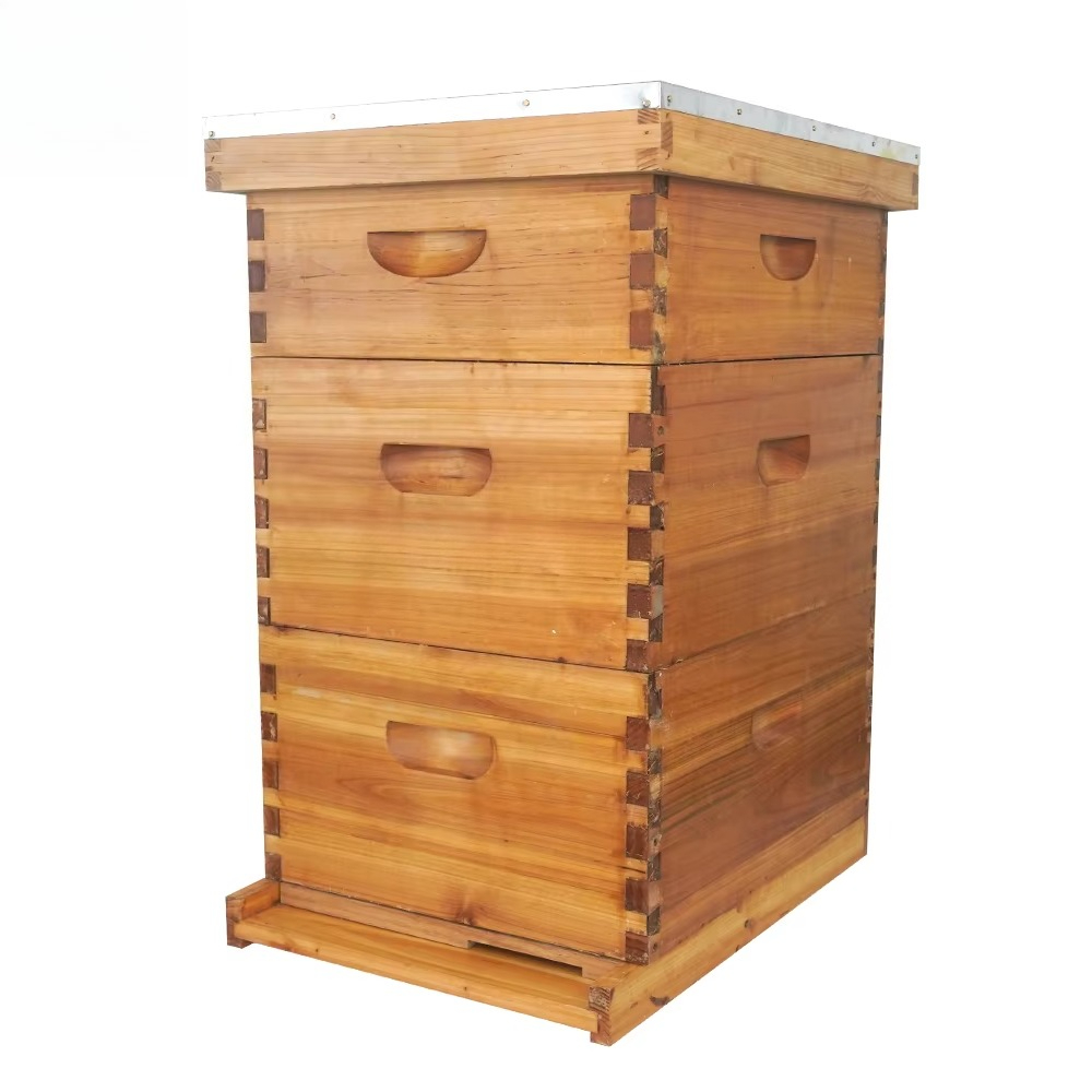 Complete 3-layer wax-soaked be - Beehive Frame Wax ulasan dan harga