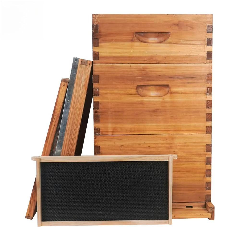 Complete 3-layer wax-soaked be - Beehive Frame Wax ulasan dan harga