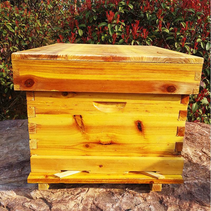 Bee beehive Full set of beekee - Beehive Frame Wax ulasan dan harga