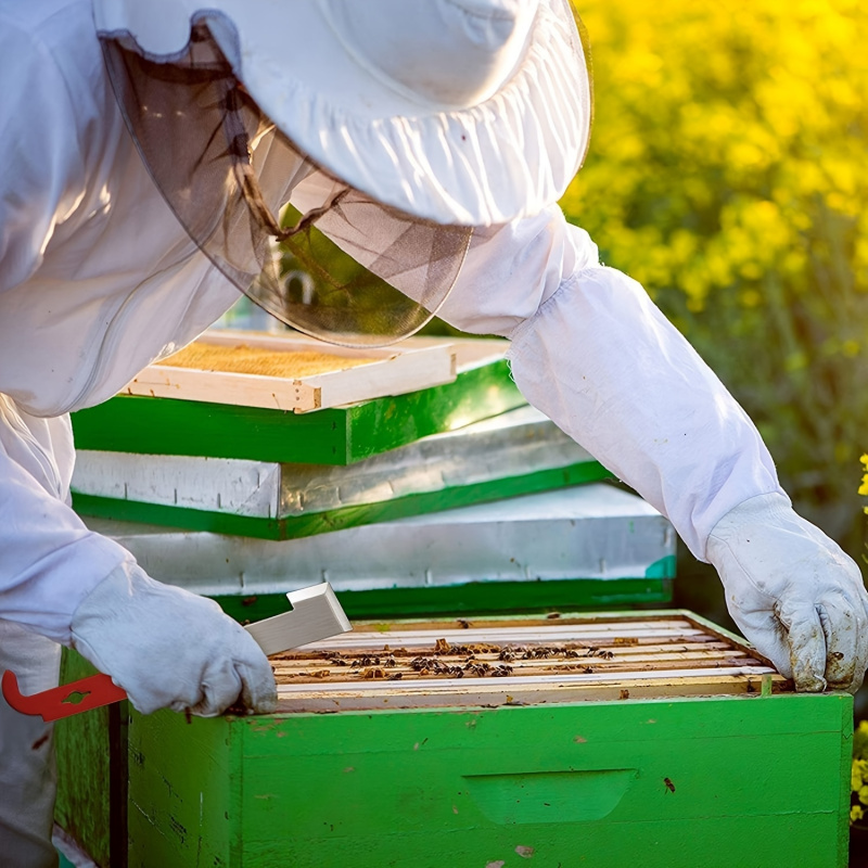 Bee Frame Scraper Multifunctio - Beehive Frame Wax ulasan dan harga